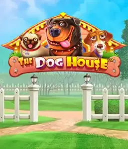 Pragmatic Play's The Dog House adventure, featuring a fun-filled journey through playful pups. Engage in gameplay elements such as free spins, perfect for providing entertaining gameplay. Perfect for animal enthusiasts a lighthearted setting and the opportunity to win big.